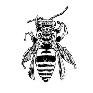 bee