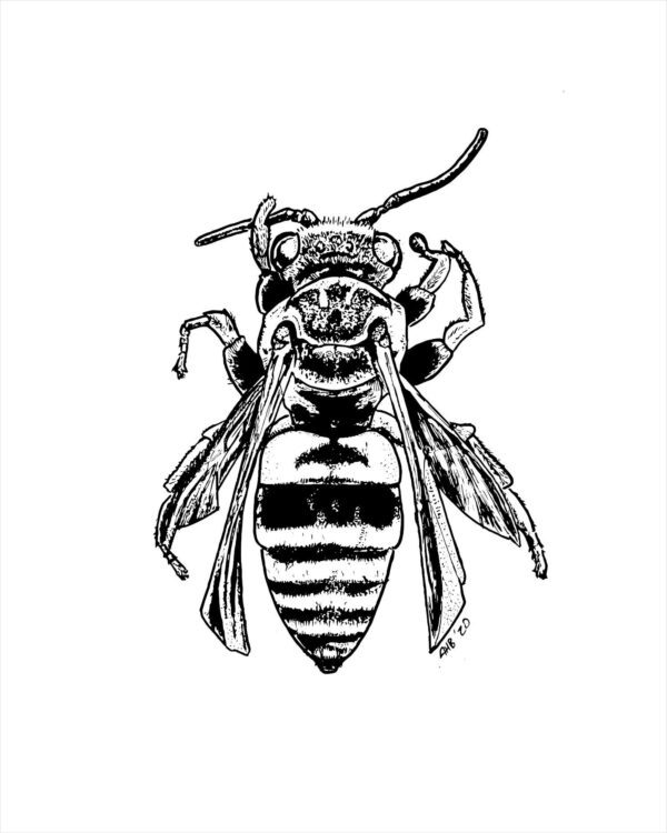 bee