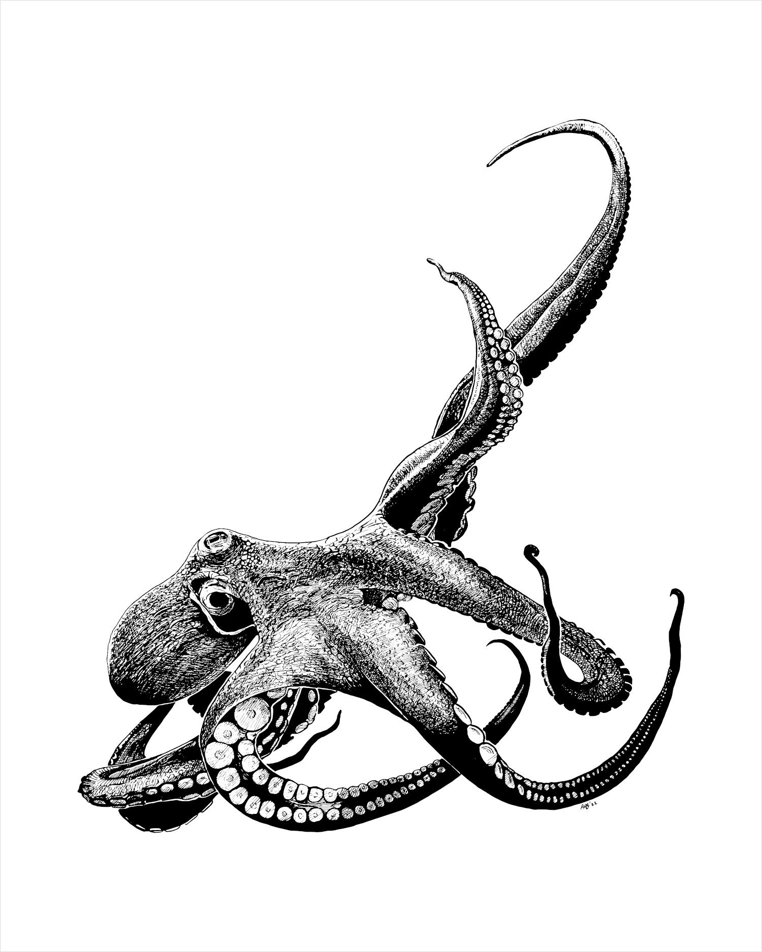 reach fine art print