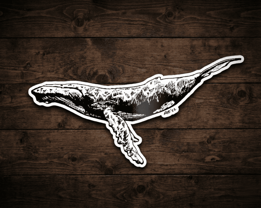 dive companion sticker